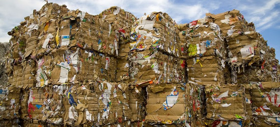 Reciclagem de papelão – um bom negócio.